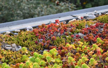 the cost of Invernoaden green roof installation