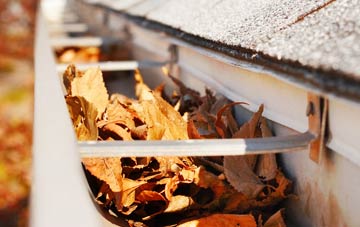 Invernoaden gutter cleaning companies
