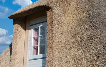 Invernoaden thatch roof disadvantages